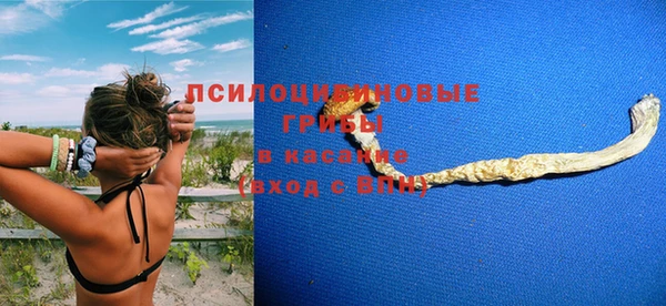 jwh Богородицк