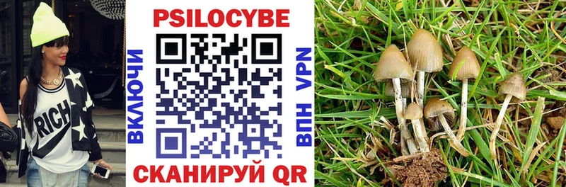 что такое наркотик Светогорск Псилоцибиновые грибы прущие грибы
